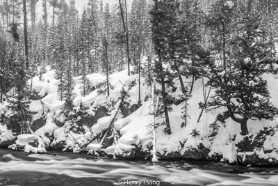 Henry Tsang, 2019 Winter in Yellowstone Photography Tour II, photograph 3