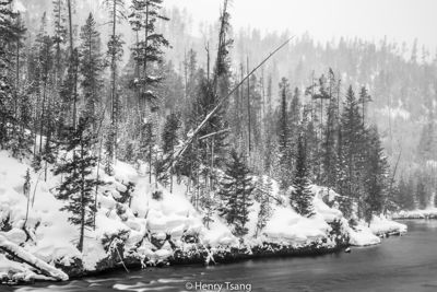 Henry Tsang, 2019 Winter in Yellowstone Photography Tour II, photograph 4