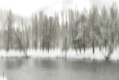 Jim Hartwell, 2019 Winter in Yellowstone Photography Tour II, photograph 1