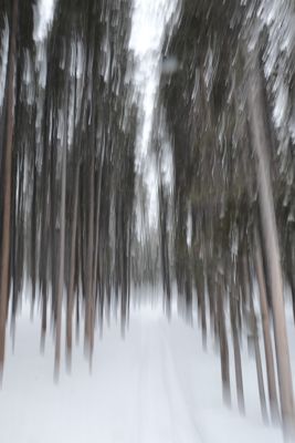 Jim Hartwell, 2019 Winter in Yellowstone Photography Tour II, photograph 2