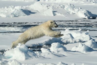 Taylor Beattie, 2019 Svalbard Photography Tour I, photograph 1