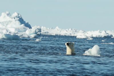 Taylor Beattie, 2019 Svalbard Photography Tour I, photograph 3