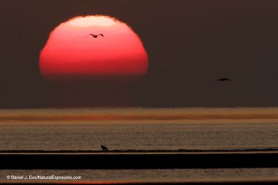 Sunrise over Cook Inlet. Alaska.