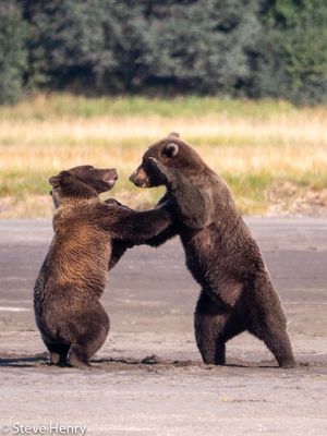 Sparring