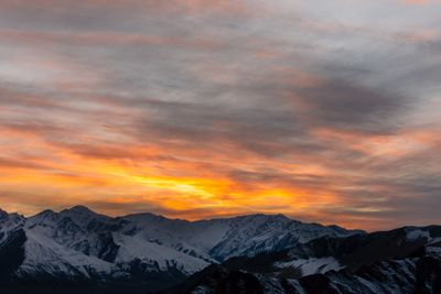 Charles Masters, 2020 Snow Leopard Photography Tour, photograph 1