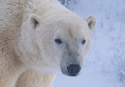 Close-up and Personal