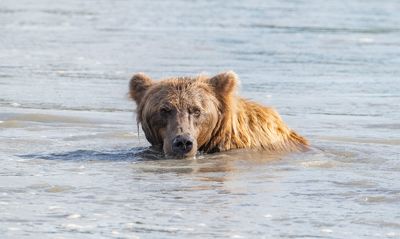 Nothing like a dip in the ocean.