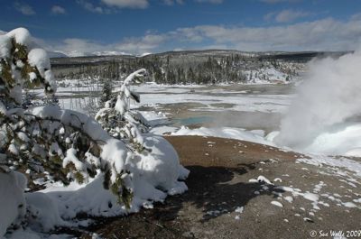Sue Wolfe, 2008 Winter in Yellowstone Photography Tour II, photograph 1