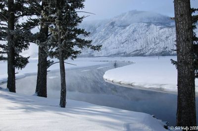 Sue Wolfe, 2008 Winter in Yellowstone Photography Tour II, photograph 2