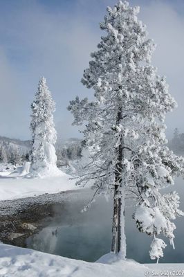 Sue Wolfe, 2008 Winter in Yellowstone Photography Tour II, photograph 3