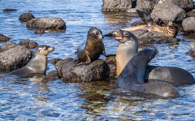 Thomas Raney, 2024 Galápagos Photography Tour by Private Luxury Yacht II, photograph 2