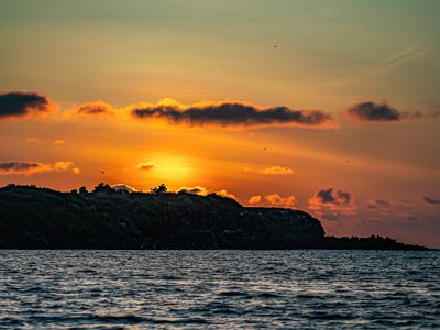 Thomas Raney, 2024 Galápagos Photography Tour by Private Luxury Yacht II, photograph 4