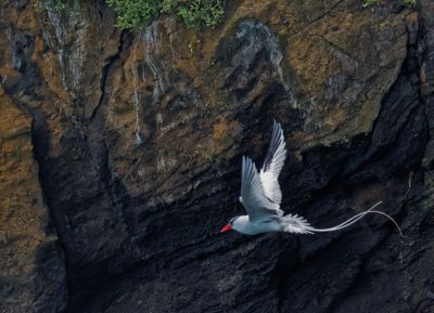 Jamie Burns, 2024 Galápagos Photography Tour by Private Luxury Yacht I, photograph 1