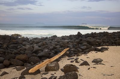 North Seymour Island