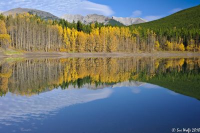 Sue Wolfe, 2010 Canadian Rockies Fall Photo Tour, photograph 1