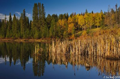 Sue Wolfe, 2010 Canadian Rockies Fall Photo Tour, photograph 3