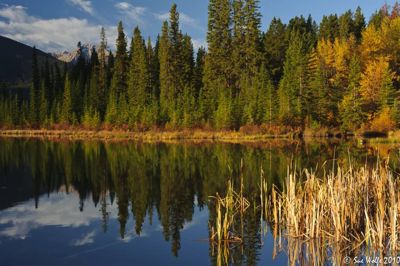 Sue Wolfe, 2010 Canadian Rockies Fall Photo Tour, photograph 4
