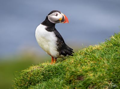 Ann Fulcher, 2023 Faroe Islands Photography Tour III, photograph 3