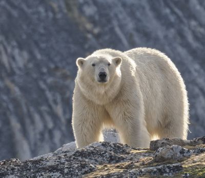 Jamie Burns, 2024 Svalbard Photography Tour, photograph 1