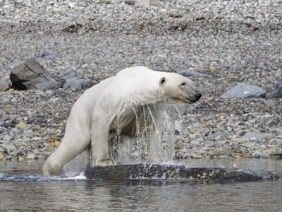 Jamie Burns, 2024 Svalbard Photography Tour, photograph 2