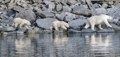Jamie Burns, 2024 Svalbard Photography Tour, photograph 3