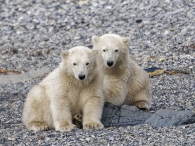 Jamie Burns, 2024 Svalbard Photography Tour, photograph 4