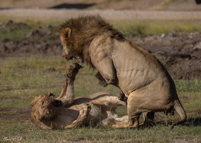 Ann Sneiders, 2019 Kenya Photography Tour, photograph 2