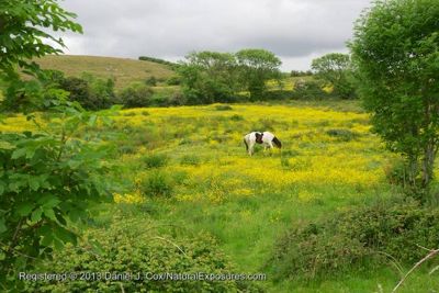 Daniel J. Cox, 2013 Ireland Photography Tour II, photograph 4