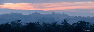 Mike Cromwell, 2025 Orangutans, Dragons, and Temples Photography Tour, photograph 4