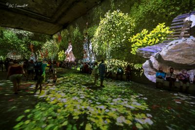 Part of Monet Exposition inside quarry at Carrieres des Lumieres