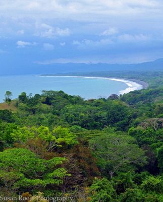 Susan L. Roehl, 2011 Costa Rica Photography Tour I, photograph 1