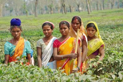 Susan L. Roehl, 2012 India Photography Trip I, photograph 2