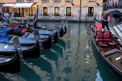 Central Gathering of Venice Gondolas