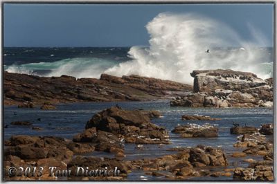 Tom Dietrich, 2013 South Africa – Cape Town Extension, photograph 1