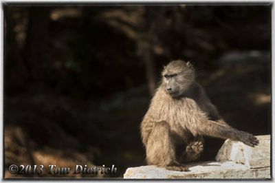 Tom Dietrich, 2013 South Africa – Cape Town Extension, photograph 2
