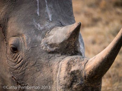 Mark and Cathy Pemberton, 2013 South Africa Photography Tour, photograph 1