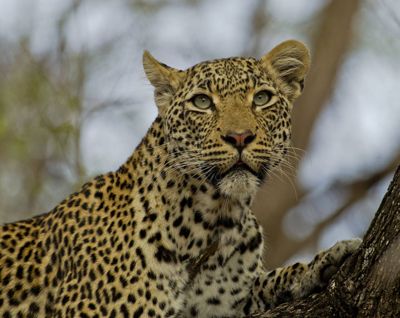 Lynne Edwards, 2013 South Africa Photography Tour, photograph 1