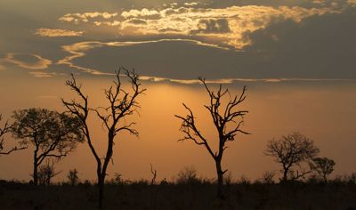 Lynne Edwards, 2013 South Africa Photography Tour, photograph 3