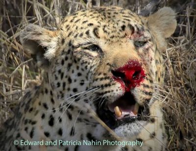 Edward Nahin, 2013 South Africa Photography Tour, photograph 4
