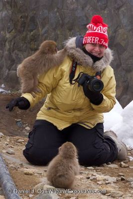 Daniel J. Cox, 2014 Japan Winter Wildlife Photography Tour II, photograph 3