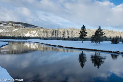 Tom Stewart, 2014 Winter in Yellowstone Photography Tour II, photograph 4