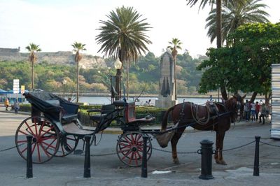Carole Jones, 2014 Cuba Photography Tour, photograph 2