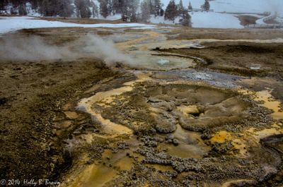 Holly Brown, 2014 Winter in Yellowstone Photography Tour II, photograph 1
