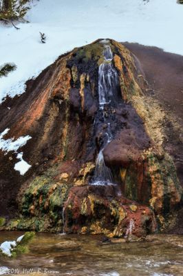 Holly Brown, 2014 Winter in Yellowstone Photography Tour II, photograph 2