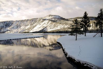 Holly Brown, 2014 Winter in Yellowstone Photography Tour II, photograph 4