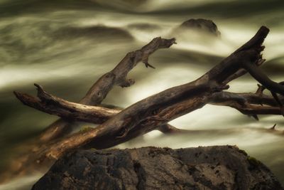 Fred Kurtz, 2015 Patagonia Photography Tour, photograph 4