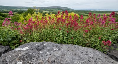 Fred Kurtz, 2016 Ireland Photography Tour, photograph 4