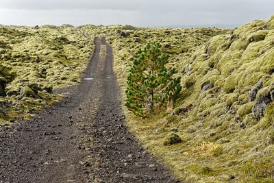 Fred Kurtz, 2016 Iceland Landscape Photography Tour II, photograph 2