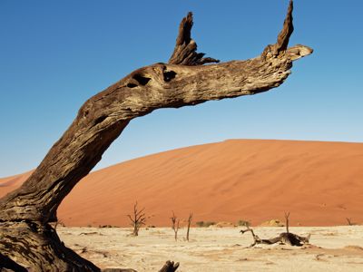 Fred Kurtz, 2017 Namibia, Botswana, and Zambia Photography Tour, photograph 2