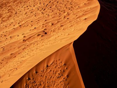 Fred Kurtz, 2017 Namibia, Botswana, and Zambia Photography Tour, photograph 3